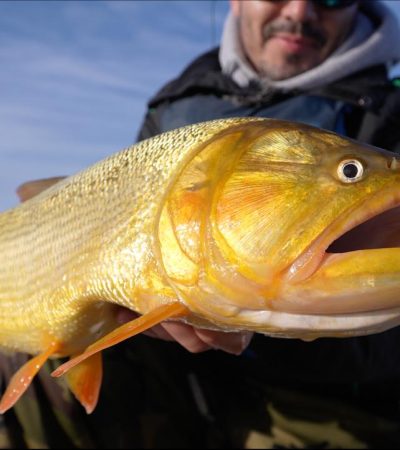 posada-casablanca-imagen19