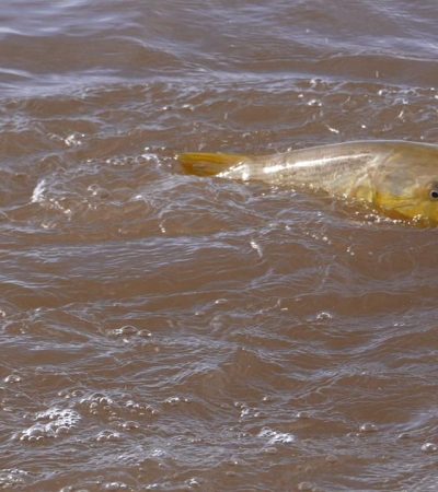 posada-casablanca-imagen8